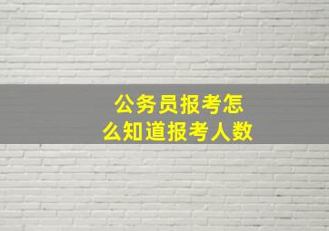 公务员报考怎么知道报考人数