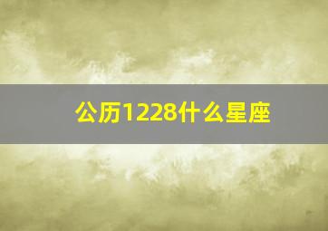 公历1228什么星座