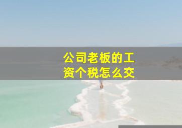 公司老板的工资个税怎么交