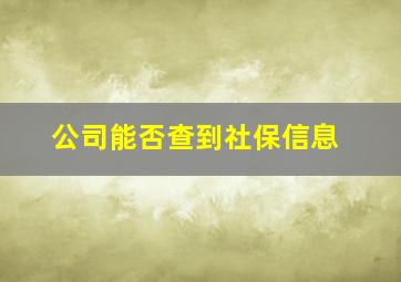 公司能否查到社保信息