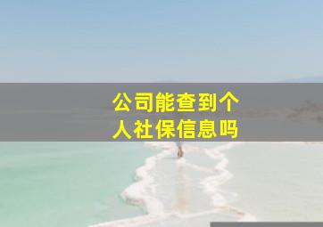 公司能查到个人社保信息吗