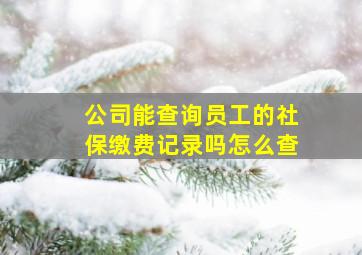 公司能查询员工的社保缴费记录吗怎么查