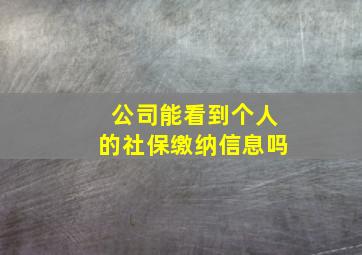 公司能看到个人的社保缴纳信息吗