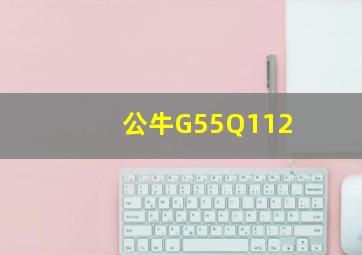 公牛G55Q112