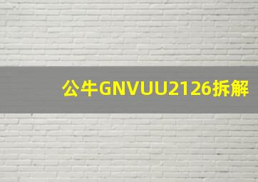 公牛GNVUU2126拆解