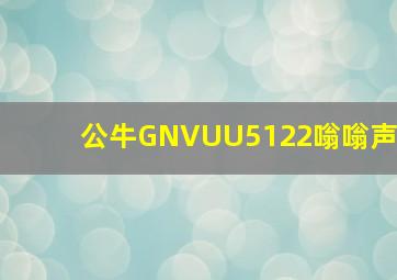 公牛GNVUU5122嗡嗡声