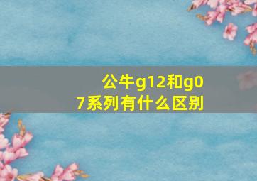 公牛g12和g07系列有什么区别