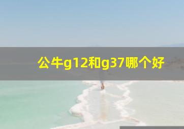 公牛g12和g37哪个好