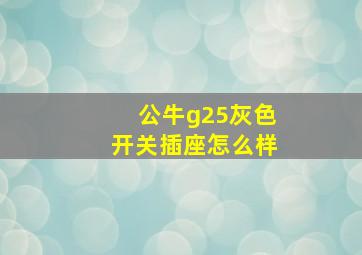 公牛g25灰色开关插座怎么样