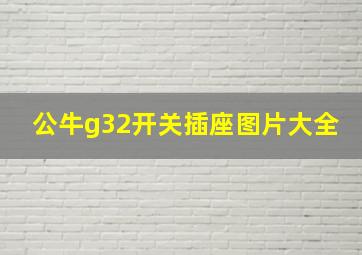 公牛g32开关插座图片大全