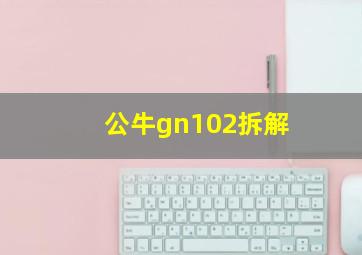 公牛gn102拆解