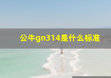 公牛gn314是什么标准