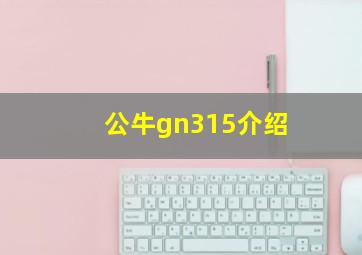 公牛gn315介绍