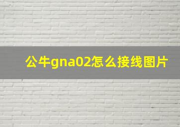 公牛gna02怎么接线图片