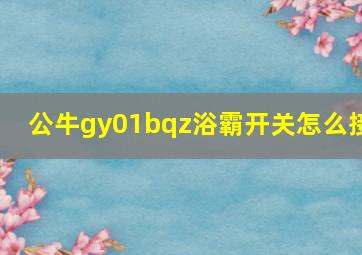 公牛gy01bqz浴霸开关怎么接