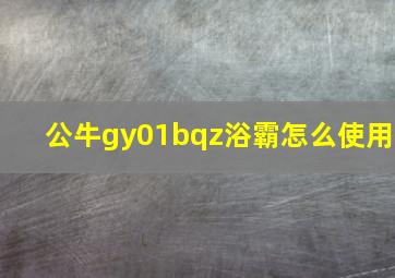 公牛gy01bqz浴霸怎么使用