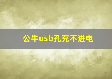 公牛usb孔充不进电