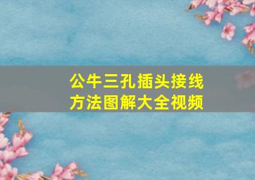 公牛三孔插头接线方法图解大全视频