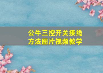 公牛三控开关接线方法图片视频教学