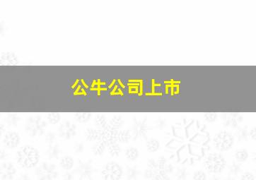 公牛公司上市