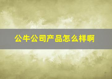 公牛公司产品怎么样啊