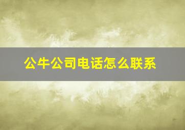 公牛公司电话怎么联系