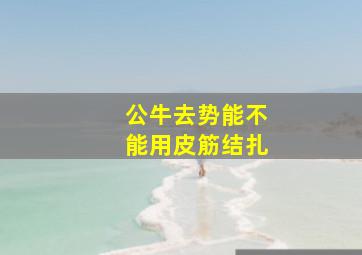 公牛去势能不能用皮筋结扎