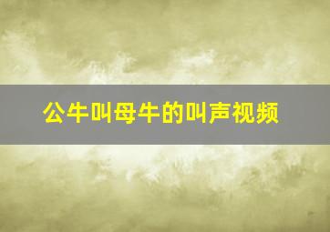 公牛叫母牛的叫声视频