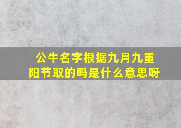 公牛名字根据九月九重阳节取的吗是什么意思呀