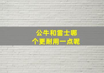 公牛和雷士哪个更耐用一点呢