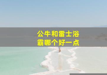 公牛和雷士浴霸哪个好一点