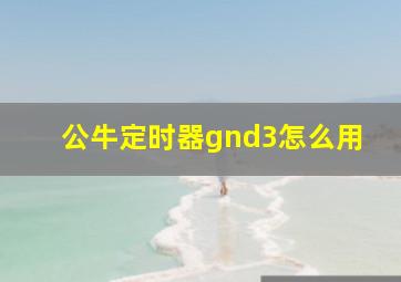 公牛定时器gnd3怎么用