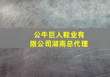 公牛巨人鞋业有限公司湖南总代理