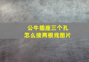 公牛插座三个孔怎么接两根线图片