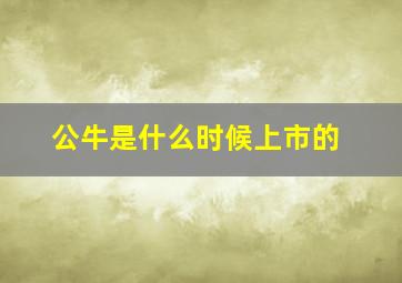 公牛是什么时候上市的