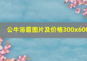 公牛浴霸图片及价格300x600