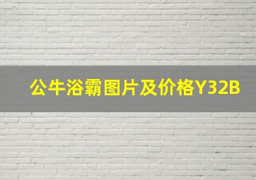 公牛浴霸图片及价格Y32B