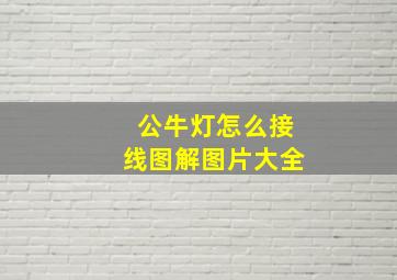 公牛灯怎么接线图解图片大全