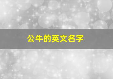 公牛的英文名字