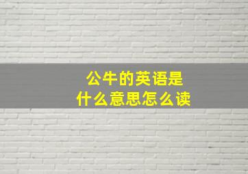 公牛的英语是什么意思怎么读