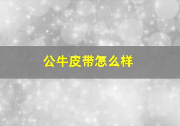 公牛皮带怎么样