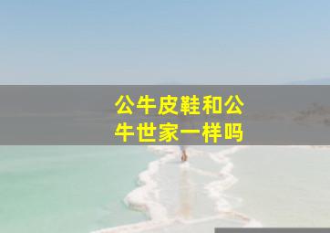 公牛皮鞋和公牛世家一样吗