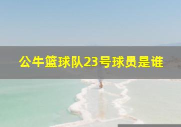 公牛篮球队23号球员是谁