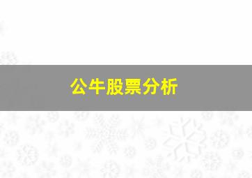 公牛股票分析