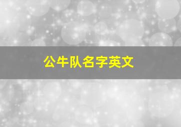 公牛队名字英文