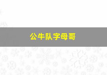 公牛队字母哥