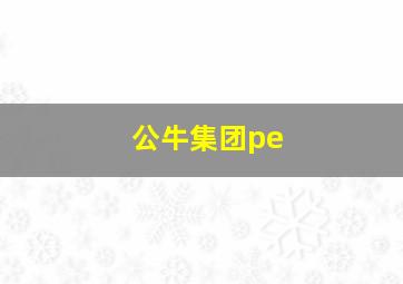 公牛集团pe