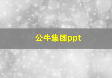 公牛集团ppt