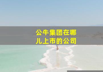 公牛集团在哪儿上市的公司