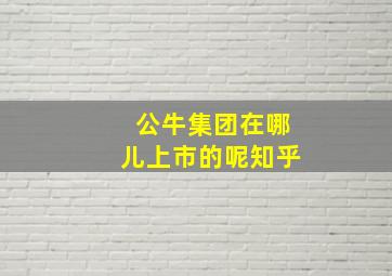 公牛集团在哪儿上市的呢知乎